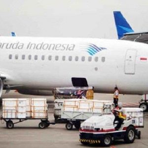 Cargo Udara Reguler